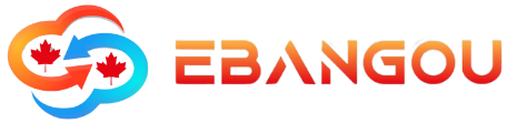 Ebangou | Soins de santé à domicile Conseils en immigration Services éducatifs Marché tropical de Sudbury